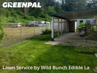 Lawn Mowing Service nearby Auburn, WA, 