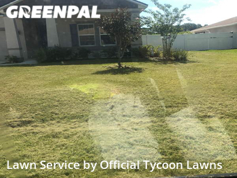 Lawn Mow nearby Palm Coast, FL, 