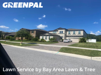 Lawn Mow nearby Riverview, FL, 