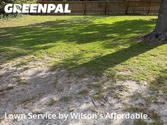 Grass Cut nearby Valdosta, GA, 