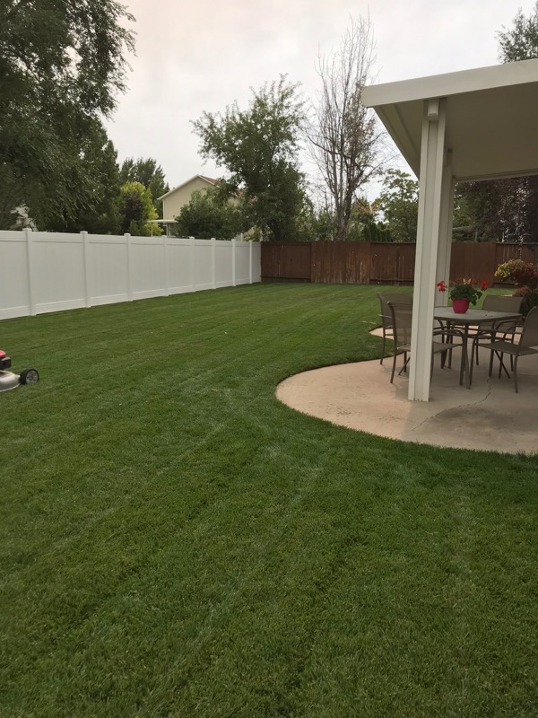 cheap-lawn-cutting-businesses-in-Taylorsville-UT