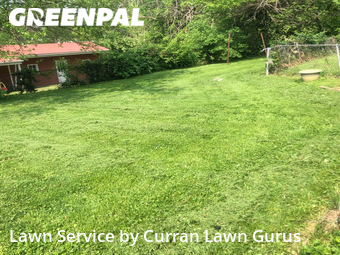 Lawn Maintenance nearby St. Louis, IL, 