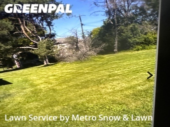 Grass Cut nearby Sterling Heights, MI, 