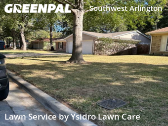 Grass Cut nearby Arlington, TX, 