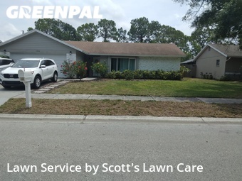 Lawn Cutting nearby Palm Harbor, FL, 