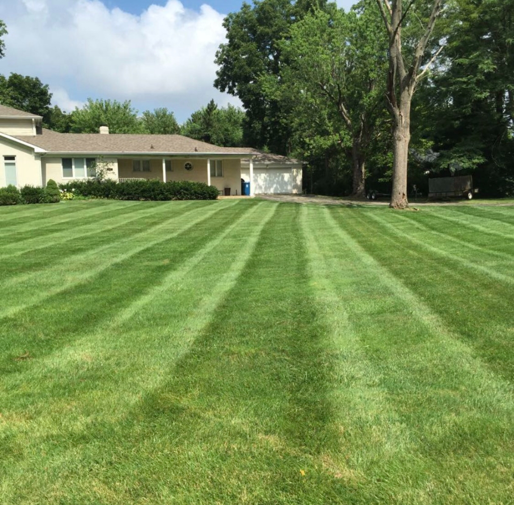 Lawn Care Service in Indianapolis , IN, 46240