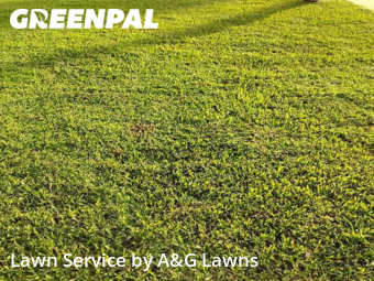 Lawn Care nearby Palm Bay, FL, 