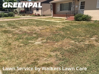 Yard Cutting nearby Colorado Springs, CO, 