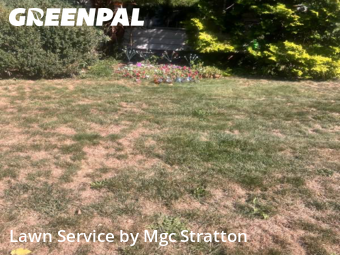 Lawn Care in South Euclid, 44121, Yard Mowing by Mgc Stratton, work completed in Dec , 2025