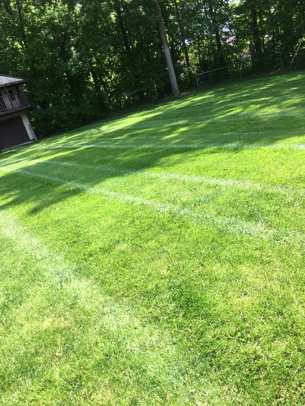 Order Lawn Care in Macon, GA, 31210