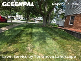 Lawn Cut nearby Naperville, IL, 