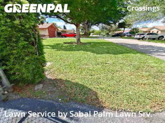 Yard Cutting in Coral Springs, 33065, Grass Services by Sabal Palm Lawn Srv., work completed in Nov , 2025