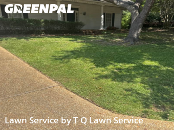 Yard Grooming in Ridgeland, 39157, Yard Cutting by T Q Lawn Service, work completed in Oct , 2025