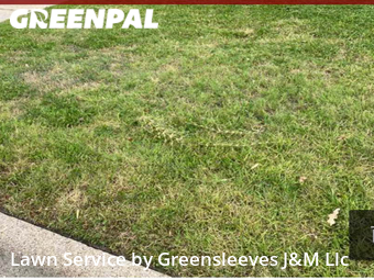 Lawn Cutting nearby College Station, TX, 