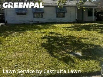 Grass Cutting nearby Houston, TX, 