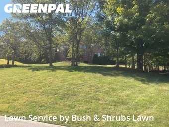Lawn Cutin Brentwood,37027,Yard Mowing by Bush & Shrubs Lawn, work completed in Jan , 2026