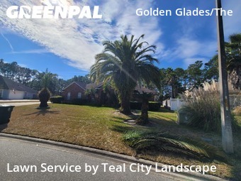Grass Cuttingin Jacksonville,32246,Lawn Cut by Teal City Landscape , work completed in Feb , 2026