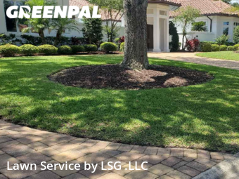 Yard Cutting nearby Ponte Vedra Beach, FL, 