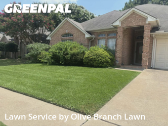 Lawn Cuttingin Haltom City,76137,Lawn Cut by Olive Branch Lawn, work completed in Jun , 2026