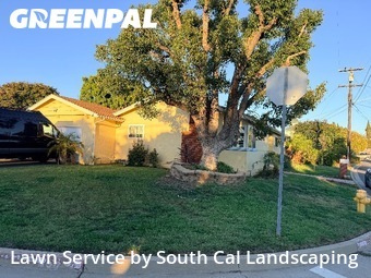 Work completed by yard-maintenance-professionals-in-Chula Vista-CA