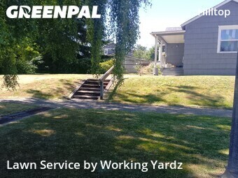 Landscaper In Tacoma,98405,Landscaping Cleanup by Working Yardz, work completed in Jul , 2026