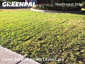 Yard Cutting nearby Schertz, TX, 