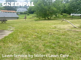 Grass Cut nearby Beaver Falls, PA, 