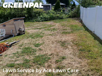 Lawn Cut nearby Milford, CT, 