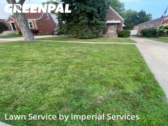 Yard Cutting nearby Evergreen Park, IL, 