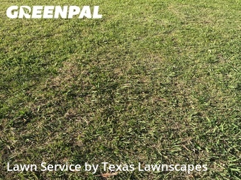 Yard Cutting nearby Mc Kinney, TX, 