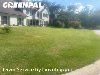 Lawn Cut nearby Marietta, GA, 