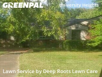 Lawn Care nearby Springfield, MO, 