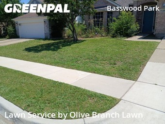 Grass Cut nearby Fort Worth, TX, 