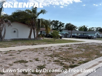 Grass Cutting nearby Largo, FL, 