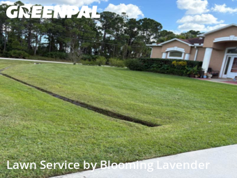 Local Lawn And Landscape Maintenance Services Near Me In Port St. Lucie,34986,Landscaping by Blooming Lavender, work completed in Nov , 2025