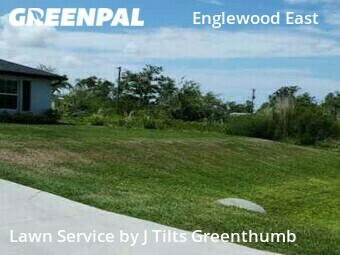 Grass Cut nearby Port Charlotte, FL, 