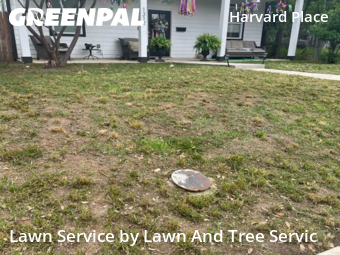 Grass Cutting nearby San Antonio, TX, 