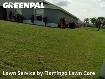 Lawn Care nearby Punta Gorda, FL, 
