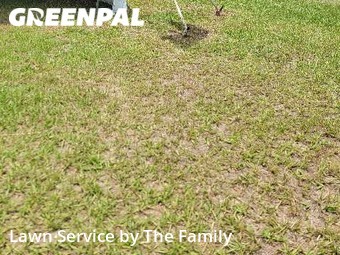 Lawn Mowing nearby Deltona, FL, 