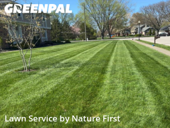 Lawn Mow nearby Carmel, IN, 