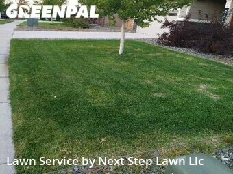 Lawn Cut nearby Timnath, CO, 