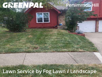 Grass Cut nearby Olathe, KS, 