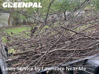 Lawn Care Service nearby Granite City, IL, 