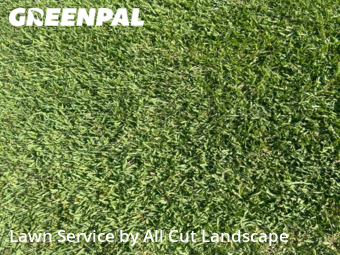 Lawn Cut nearby Sunrise, FL, 