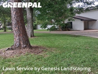 Landscaper In Pasadena,77504,Landscaping by Genesis Landscaping, work completed in Jul , 2026