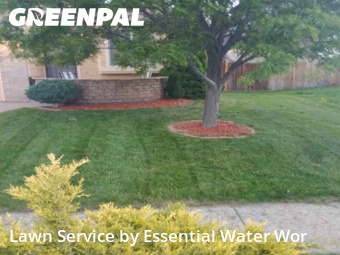 Yard Cutting nearby Colorado Springs, CO, 