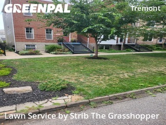 Grass Cut nearby Cleveland, OH, 