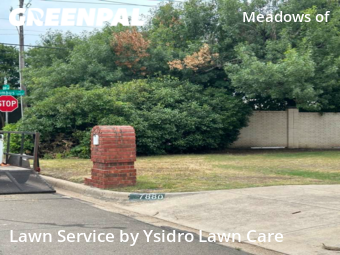 Grass Cut nearby Fort Worth, TX, 