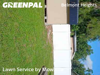 Lawn Cut nearby Tampa, FL, 