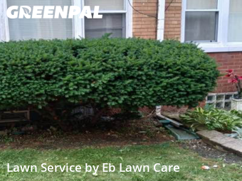 Lawn Mow nearby Bellwood, IL, 